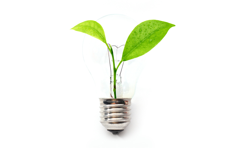 lightbulb-growth1 Plant growing inside lightbulb